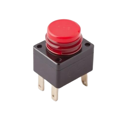 Bouton